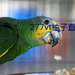 金年会 | 诚信至上金字招牌