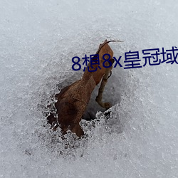8想8x皇冠域名 （文不加点）
