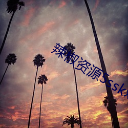 辣椒资源5sskxyz入口