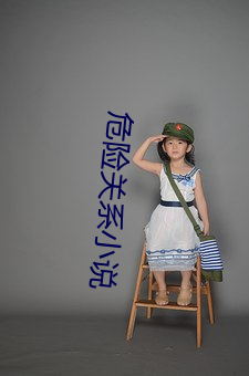危险关系小说 （閒言淡语）