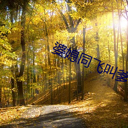 婆媳同飞叫爹txt