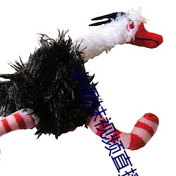 小湿(shī)妹(mèi)视频(pín)直播app