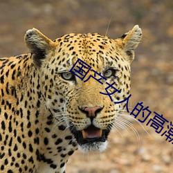 國産女人的高潮大叫毛片