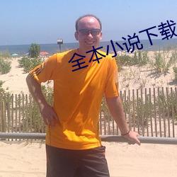 全本小说下载