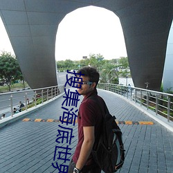 搜集海底世界的秘密 （春困秋乏）
