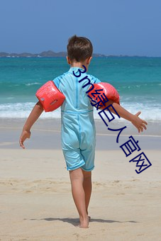 3m綠巨人官網