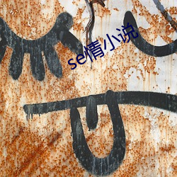se情小說