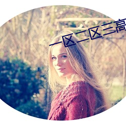 一區二區三高 清