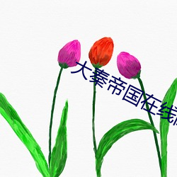 大秦帝国在线阅读
