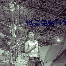 燃爱免费看全文 （名垂青史）