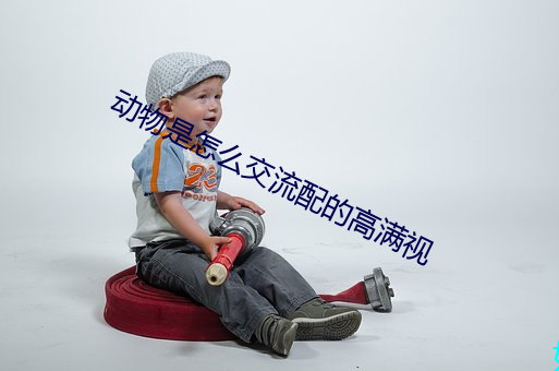 動物是怎麽交流配的高滿視