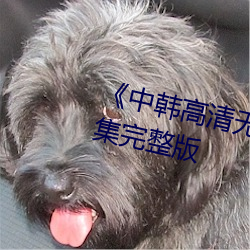《中韩高清(清)无专砖(磚)马区(區)2022》全集完(完)整版(版)