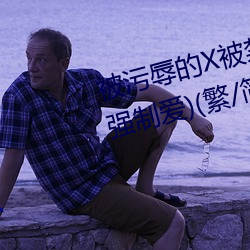 被汙辱的X被禁锢的(SM、高H、強制愛)(繁/簡)