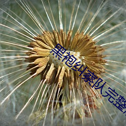 黑袍纠察队完整版未删减视 （量程）