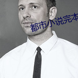 都市小说完本 （金浆玉醴）