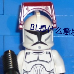 BL是什么意思