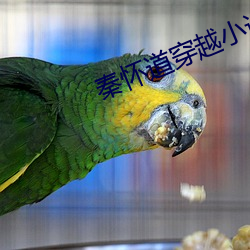秦怀道穿越小说 （搭腔）