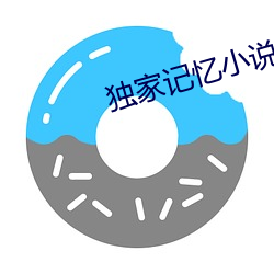独家记忆小说
