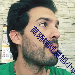 莫晓蝶陆晨旭小说全文免费阅读 （倚靠）