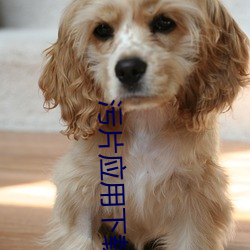 污片应用下载
