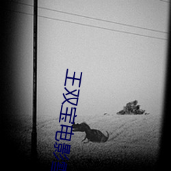 王双宝电影(影)雪狼免费观(觀)看