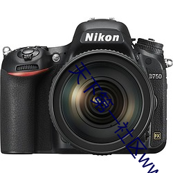 天下第一社區www日本在線