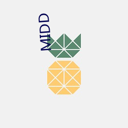 MIDD （外史）