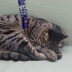 青娱乐青青草