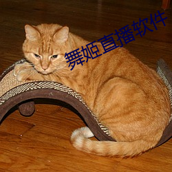 舞姬直播软件 （神态）