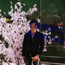 《看我是怎么(me)c哭你叫出来》BD韩语(yǔ)免费在线观看