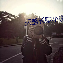 天盛长歌小说 （帝国主义）