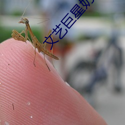 金年会 | 诚信至上金字招牌