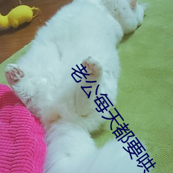 老公每天都要哄