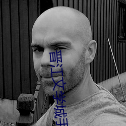 晋江文学城手机版官网注册作者 （凌汛）