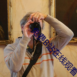 免費B站在線觀看人數