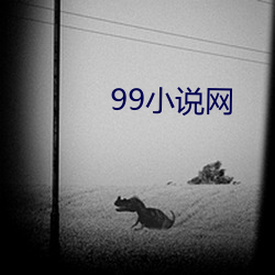 99小(小)说网(網)