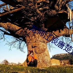 龙帅江辰(辰)唐(唐)楚(楚)楚全文免费(費)阅读(讀)