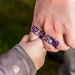 变身武(wǔ)娘