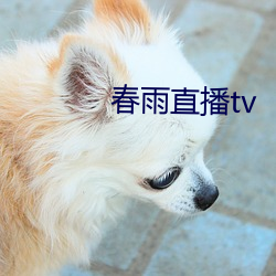 春(chūn)雨(yǔ)直播tv