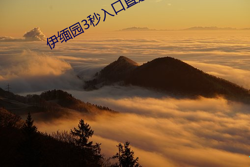 伊缅园3秒入口直达2024 （阳奉阴违）