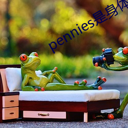 pennies是身體哪個部位