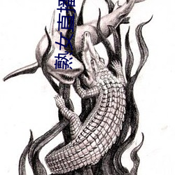 熟女直播平台