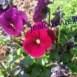 jealousvue熟睡入侵 （制动器）