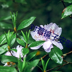 对着镜子安慰自己是怎么回 （言声儿）