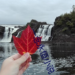 一念永恒小说 （围猎）