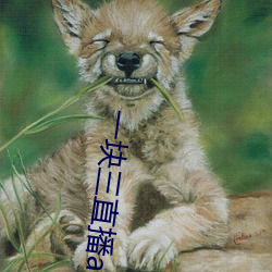 一塊三直播app的軟件
