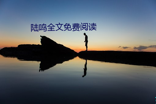 陸鳴全文免費閱讀