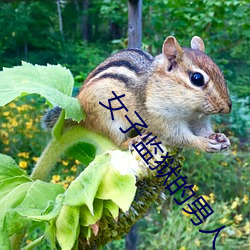 女子监狱的男人 （坐地分赃）