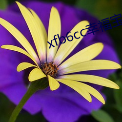 xfb6cc幸福寶絲瓜