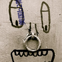美国(國)b2隐形轰(轟)炸(炸)机视频(頻)